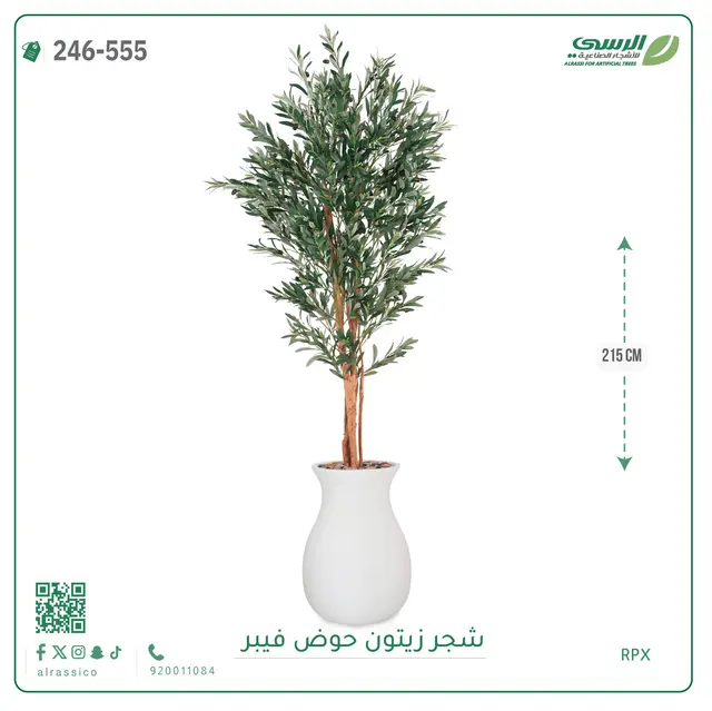  شجر زيتون صناعية ( ارتفاع 215 سم ) حوض فيبر 