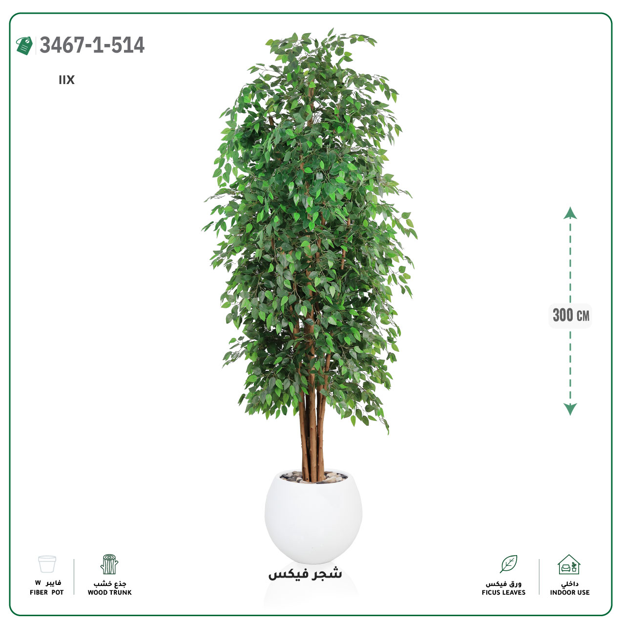  شجر فيكس صناعية (ارتفاع 300 سم) حوض فيبر جلاس 