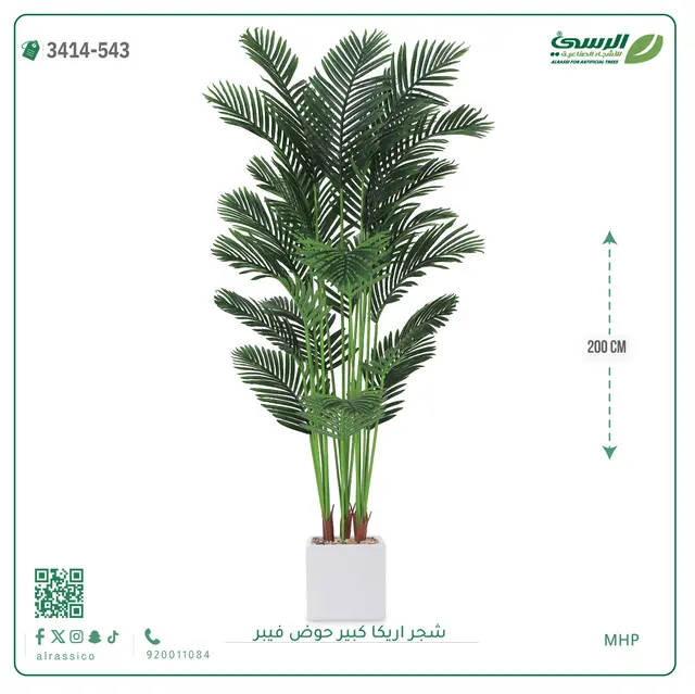 شجر أريكا صناعية ( ارتفاع 200 سم ) حوض فيبر 