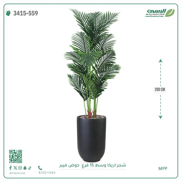  شجرة أريكا صناعية 15 فرع (ارتفاع 200 سم) حوض فيبر 
