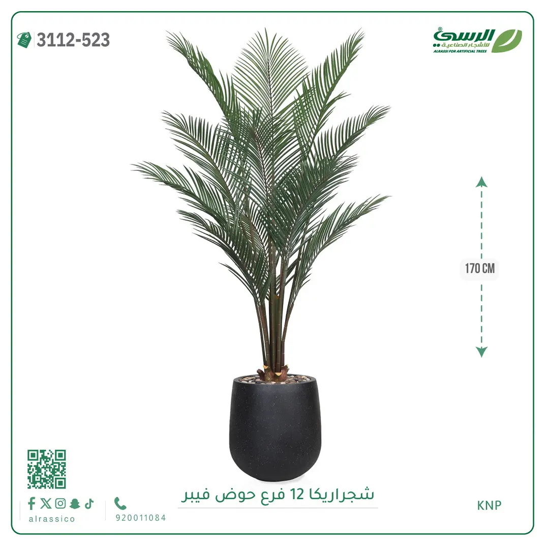  شجرة أريكا صناعية 12 فرع (ارتفاع 170 سم) حوض فيبر 