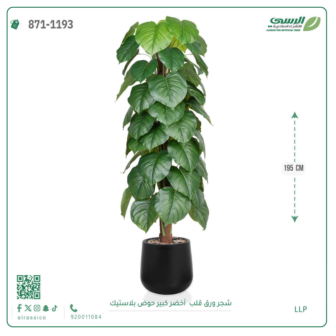  شجرة ورق قلب(ألوكاسيا) اصطناعية ( ارتفاع 195 سم ) حوض بلاستيك 