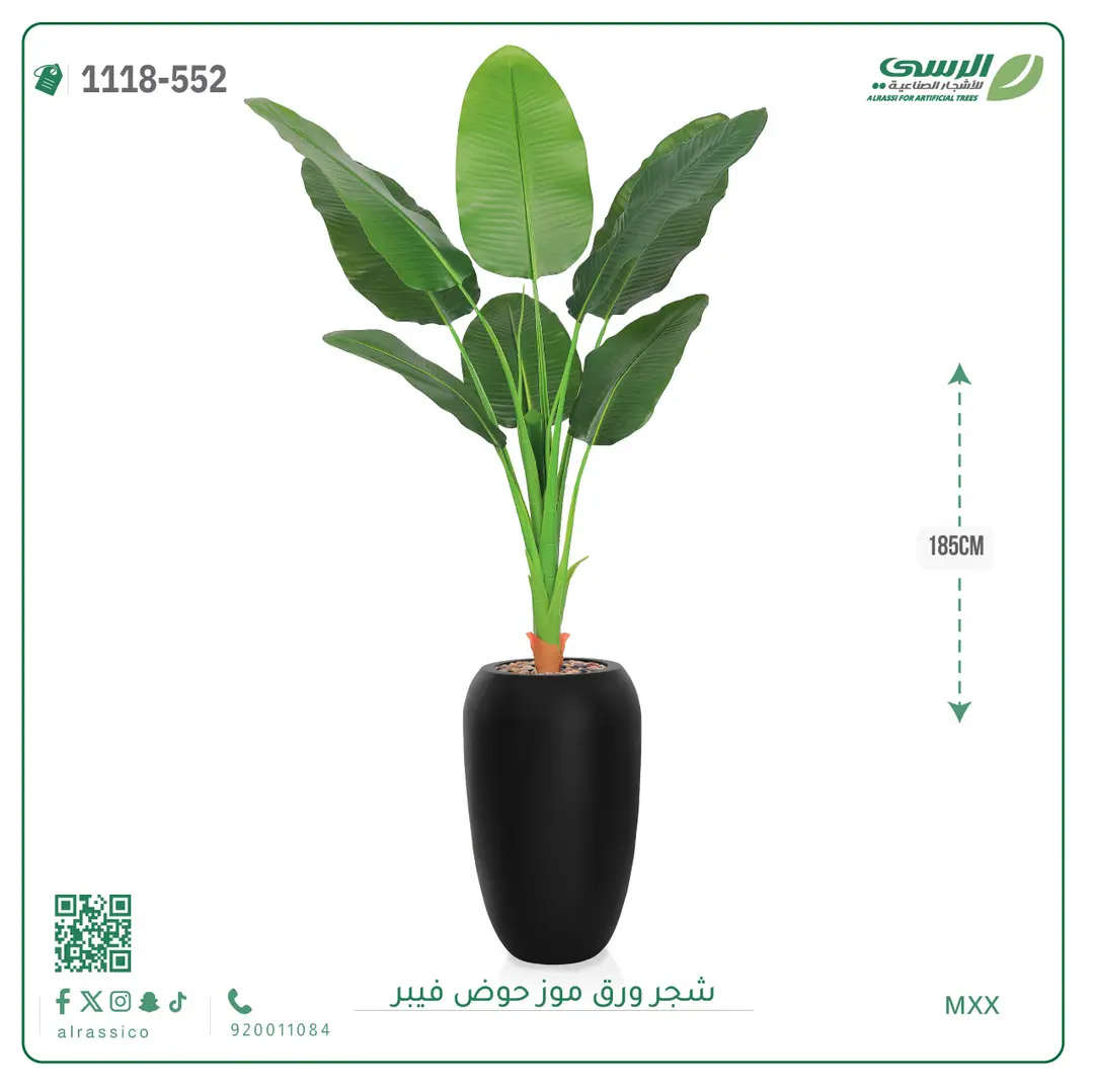  شجرة موز صناعية ( ارتفاع 185 سم ) حوض فيبر 