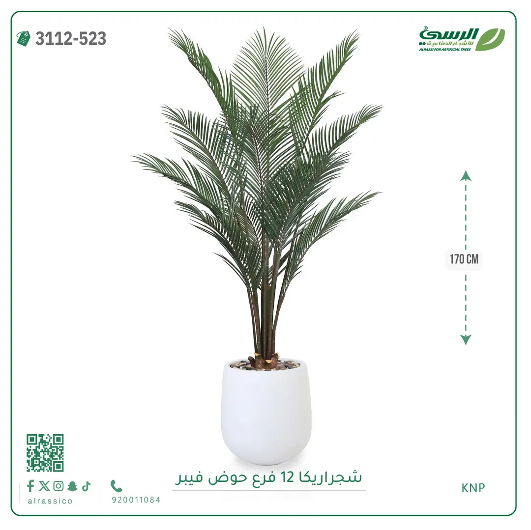  شجرة أريكا صناعية 12 فرع (ارتفاع 170 سم) حوض فيبر 