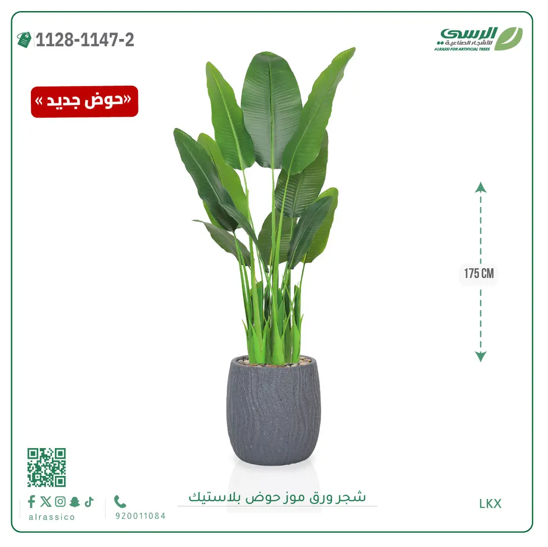  شجرة موز صناعية ( ارتفاع 175 سم ) حوض بلاستيك 