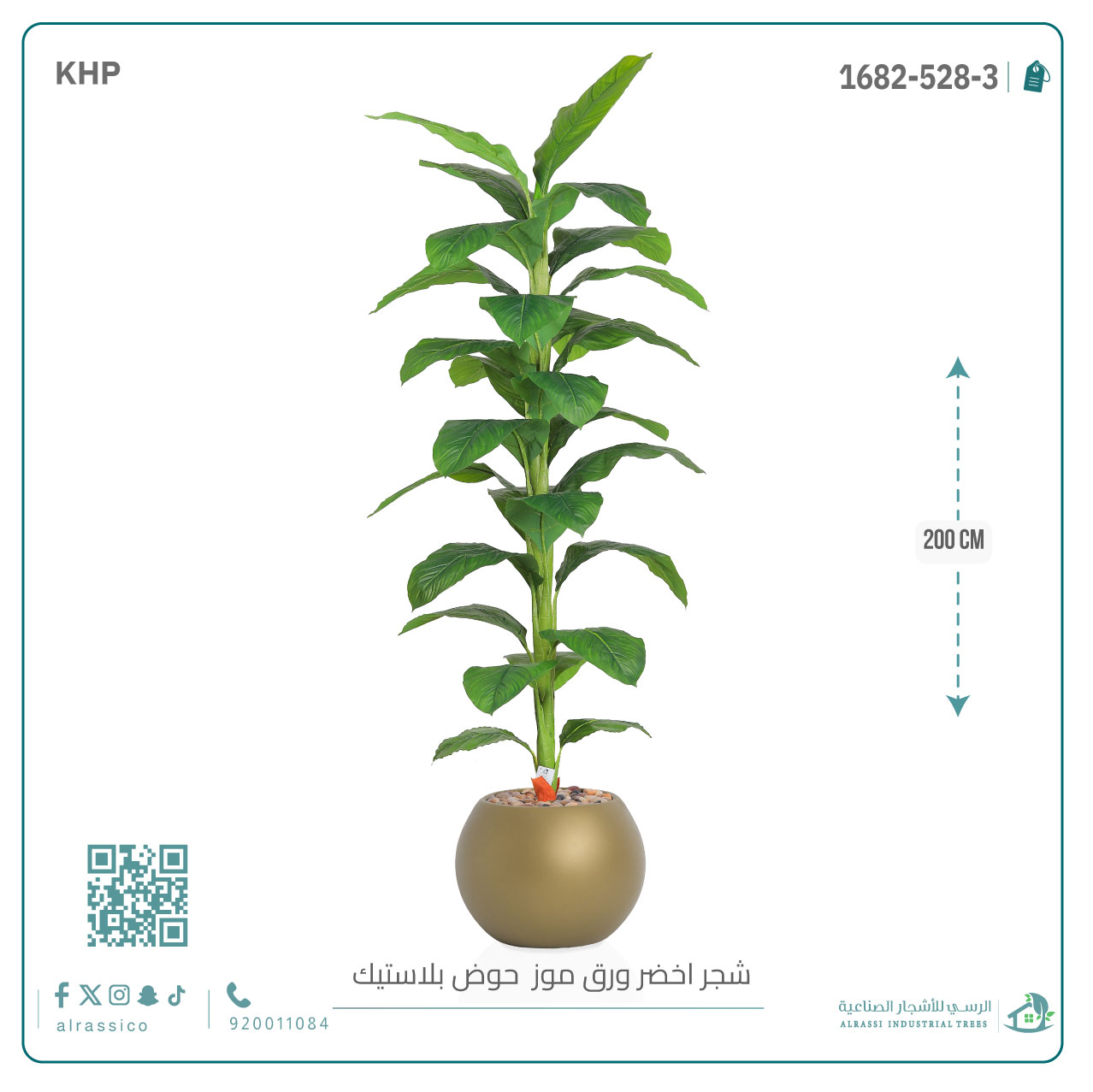  شجرة ورق موز ( ارتفاع 200 سم ) بمركن بلاستيك دائرى  
