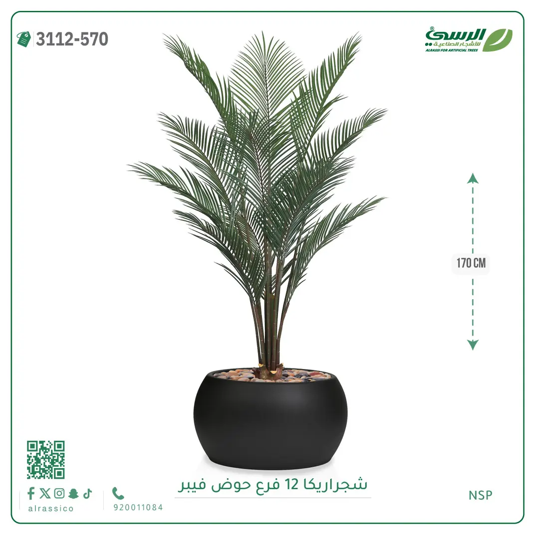  شجرة أريكا صناعية 12 فرع (ارتفاع 170 سم) حوض فيبر 