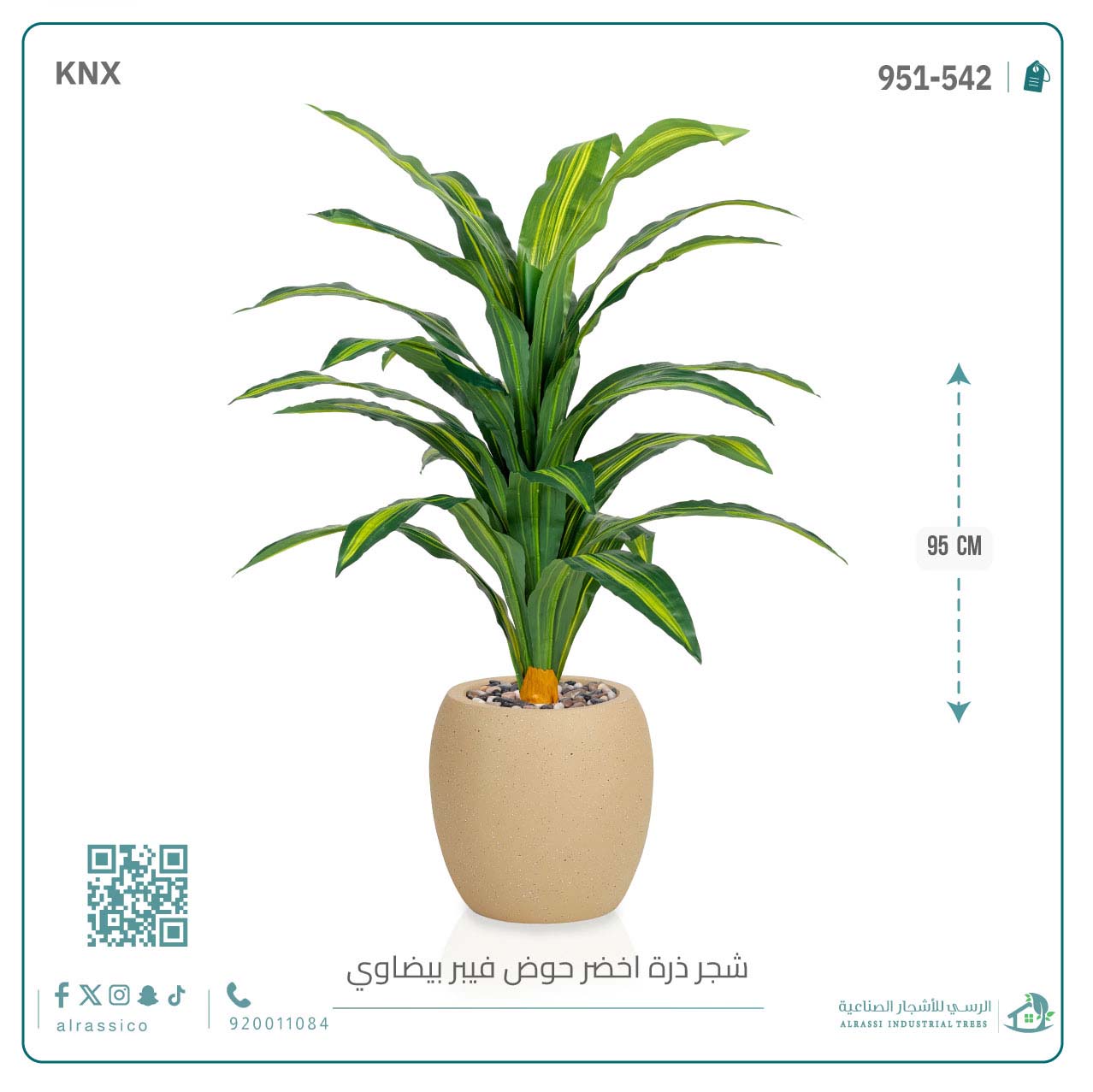  شجرة ذرة خضراء بمركن فيبر بيضاوى  