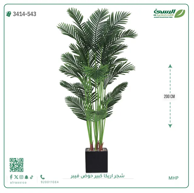  شجر أريكا صناعية ( ارتفاع 200 سم ) حوض فيبر 