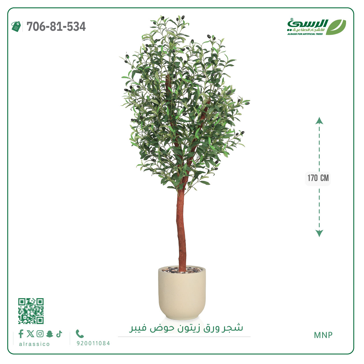  شجرة زيتون صناعية ( ارتفاع 170 سم ) حوض فيبر أسطواني 