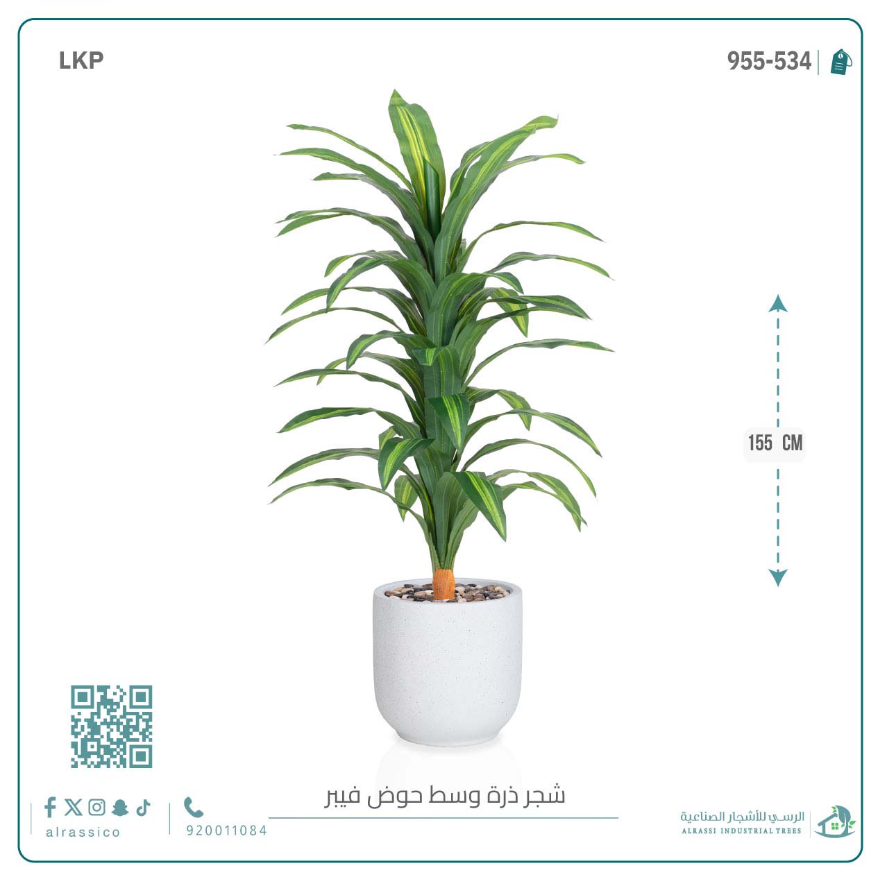   شجرة نبات الذرة (دراسينا) الاصطناعية كبيرة بمركن فيبر  أسطواني  