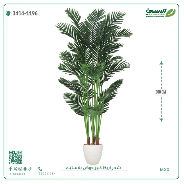  شجر أريكا صناعية ( ارتفاع 200 سم ) حوض بلاستك 