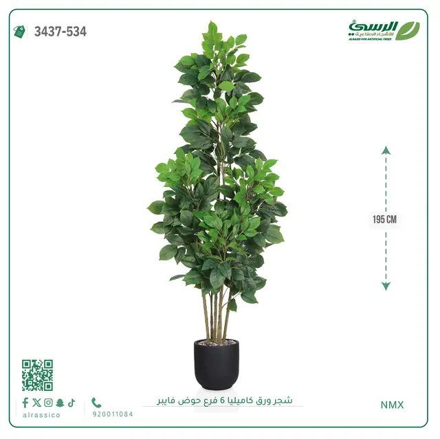  شجرة كاميليا صناعية (ارتفاع 195 سم) حوض فيبر 