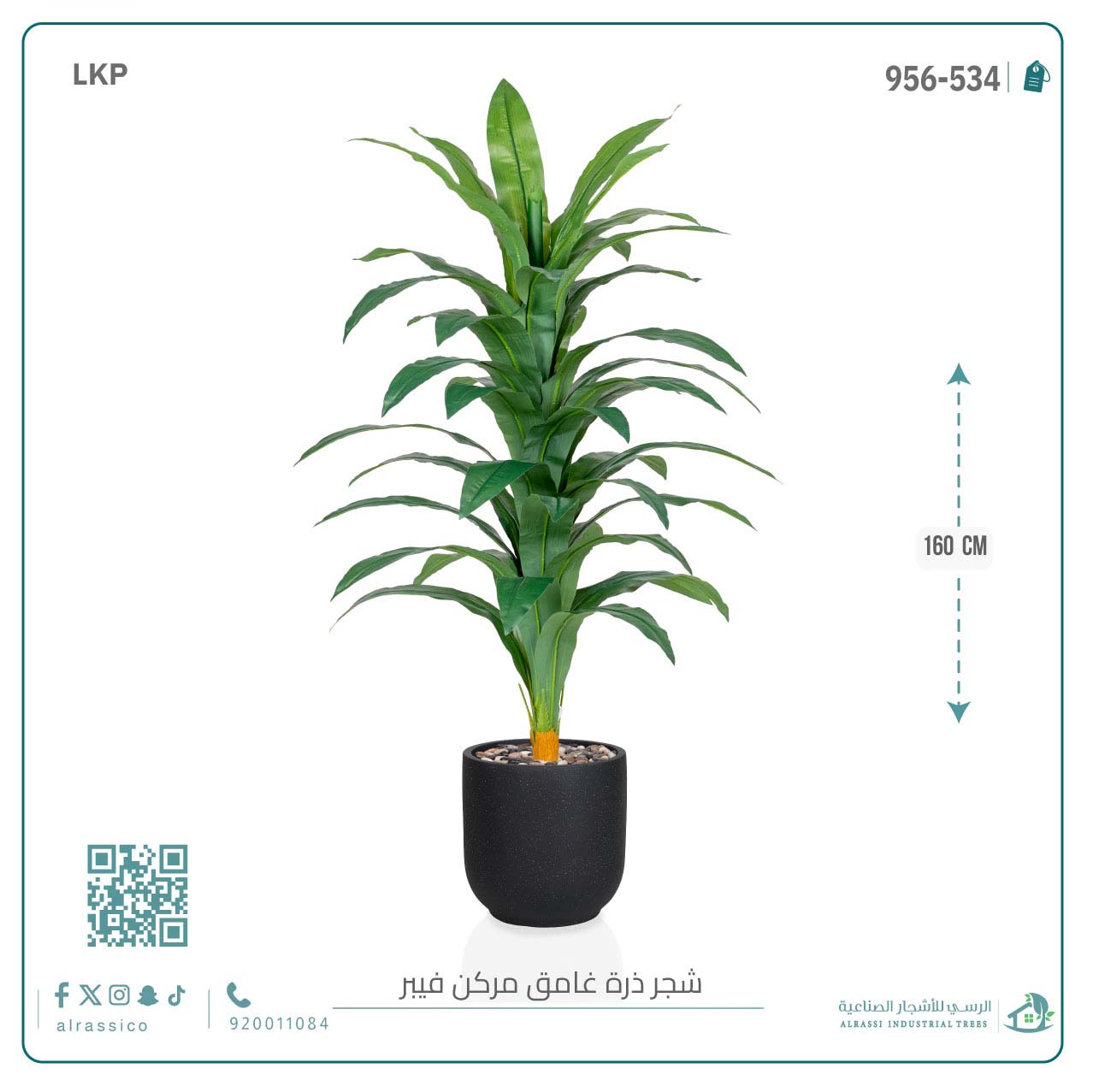 شجرة نبات الذرة (دراسينا) الاصطناعية بمركن فيبر أسطواني 