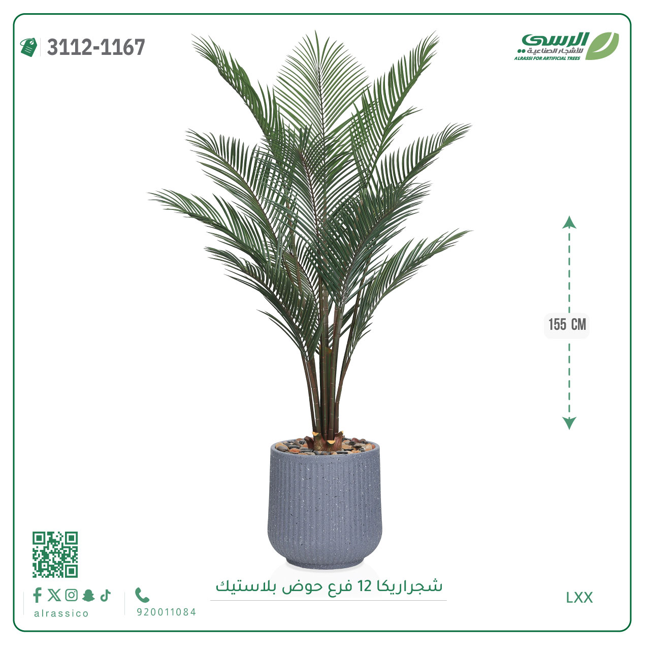  شجرة أريكا صناعية ( ارتفاع 155 سم ) حوض بلاستيك 
