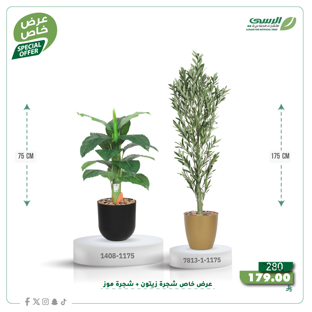  عرض شجرة زيتون صناعية ( ارتفاع 175 سم ) + شجرة ورق موز صناعية ( ارتفاع 75 سم ) حوض بلاستيك 
