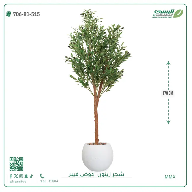  شجر زيتون صناعية ( ارتفاع 170 سم ) حوض فيبر 