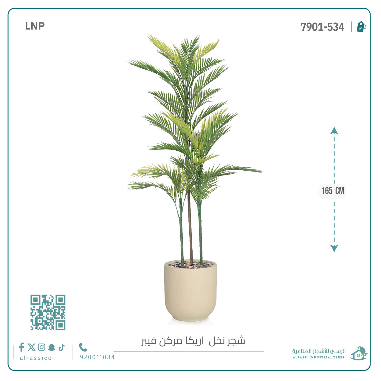 نخل أريكا اصطناعية (3 فرع) بمركن فيبر  أسطواني 