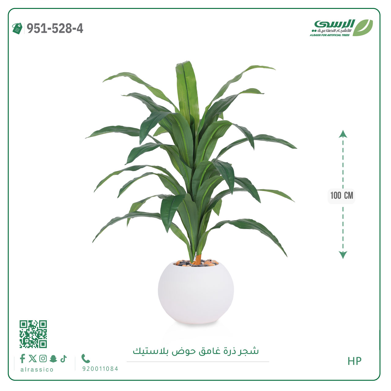   شجرة ذرة غامق بمركن بلاستيك دائرى  