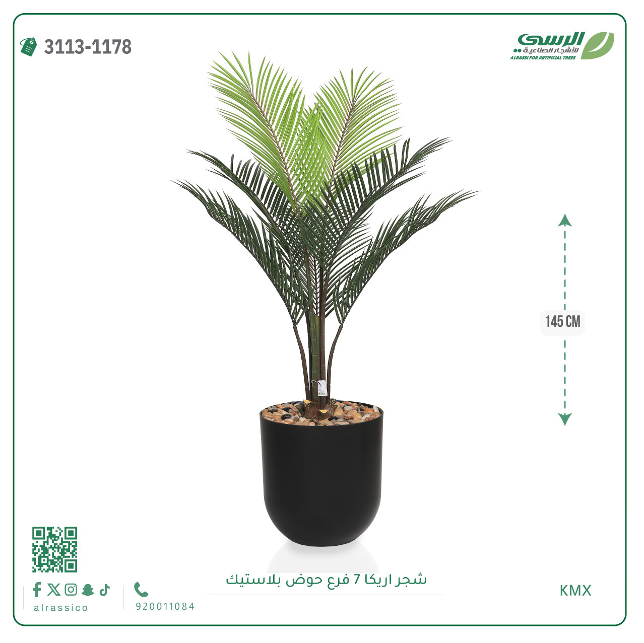  شجر أريكا (7 فروع) بمركن بلاستيك أسطواني 