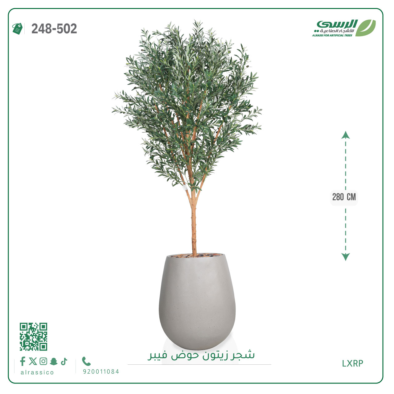  شجرة زيتون اصطناعية كبيرة بمركن فيبر أسطواني 