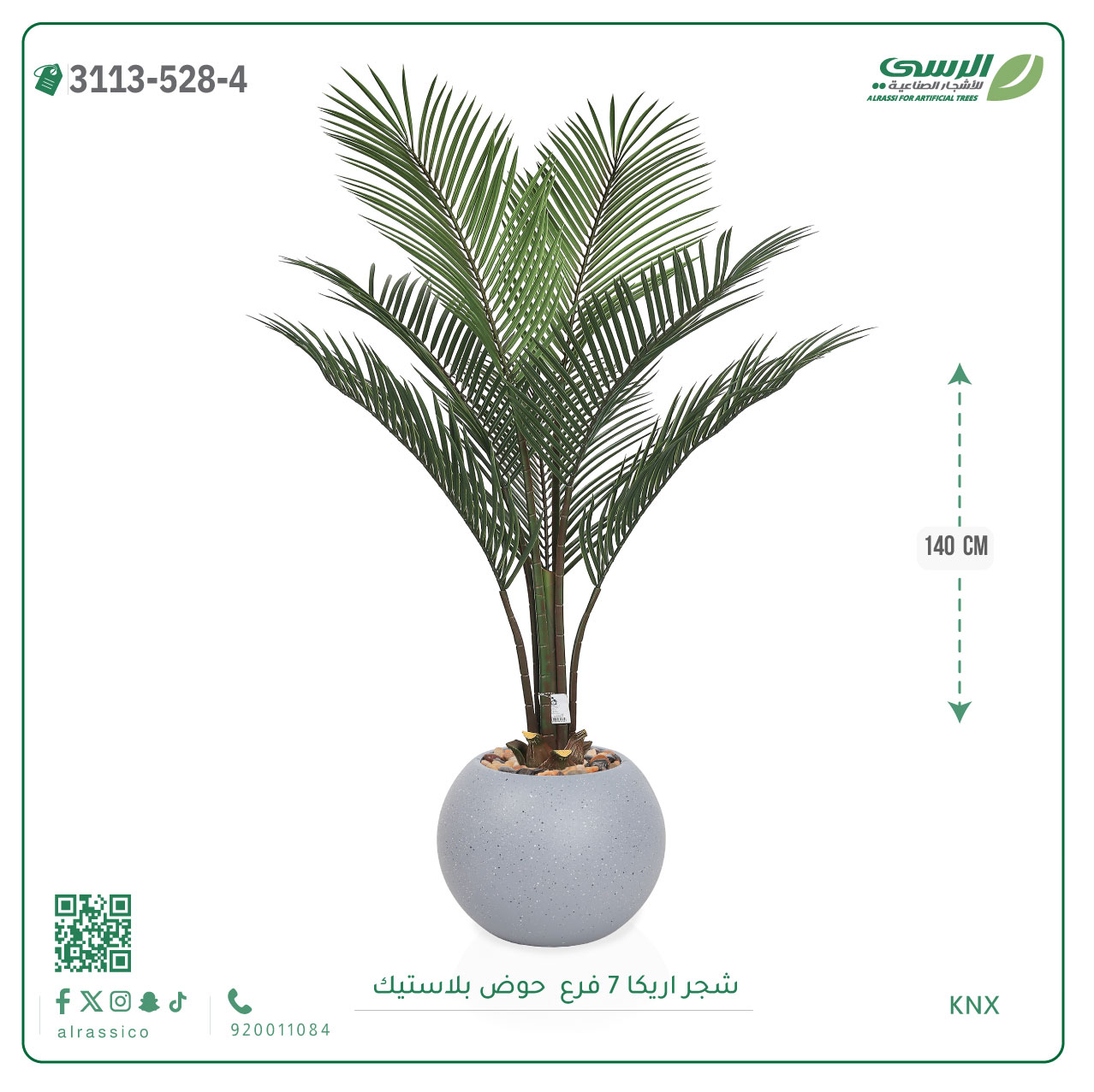   شجر أريكا (7 فروع) بارتفاع(140)بمركن بلاستيك دائرى  
