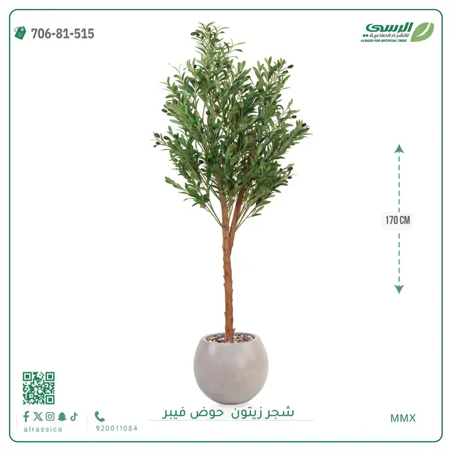  شجر زيتون صناعية ( ارتفاع 170 سم ) حوض فيبر 