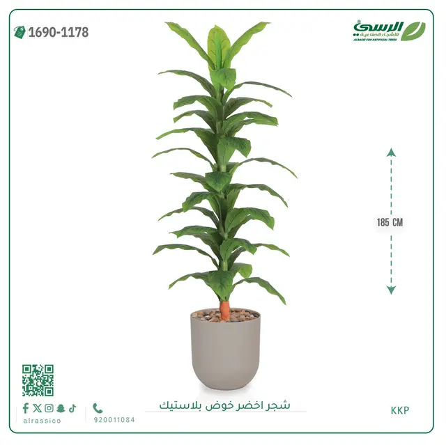  شجرة ذرة صناعية (ارتفاع 185 سم) حوض بلاستيك 