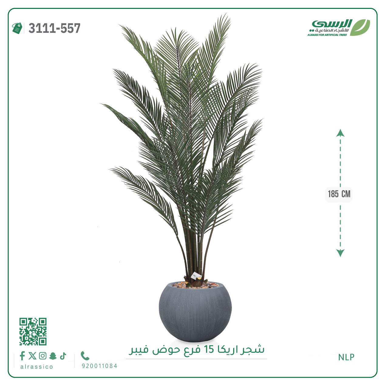  شجرة أريكا صناعية ( ارتفاع 185 سم ) حوض فيبر 