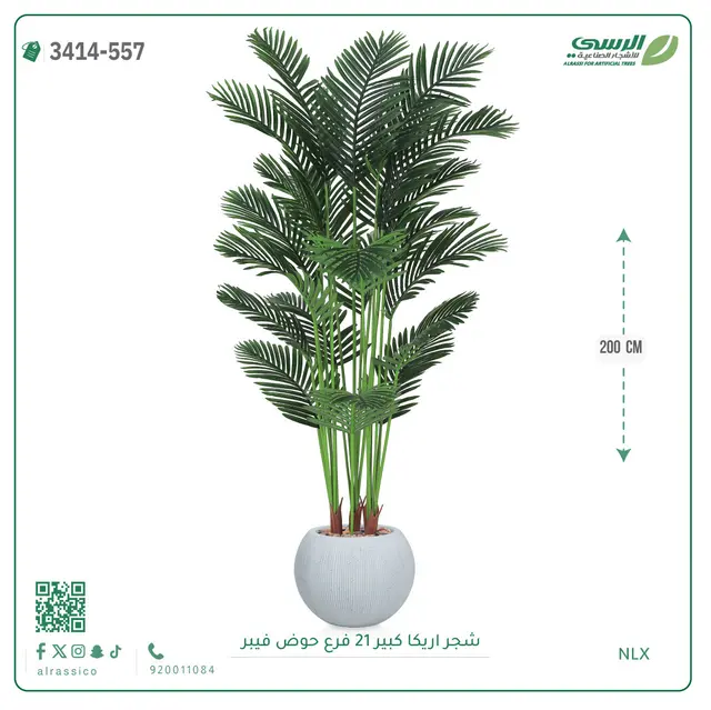  شجرة أريكا صناعية 21 فرع (ارتفاع 200 سم) حوض فيبر 