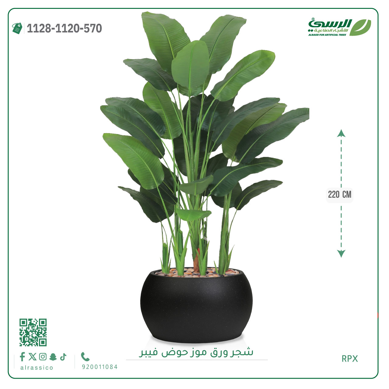  شجرة ورق موز صناعية ( ارتفاع 220 سم ) حوض فيبر 