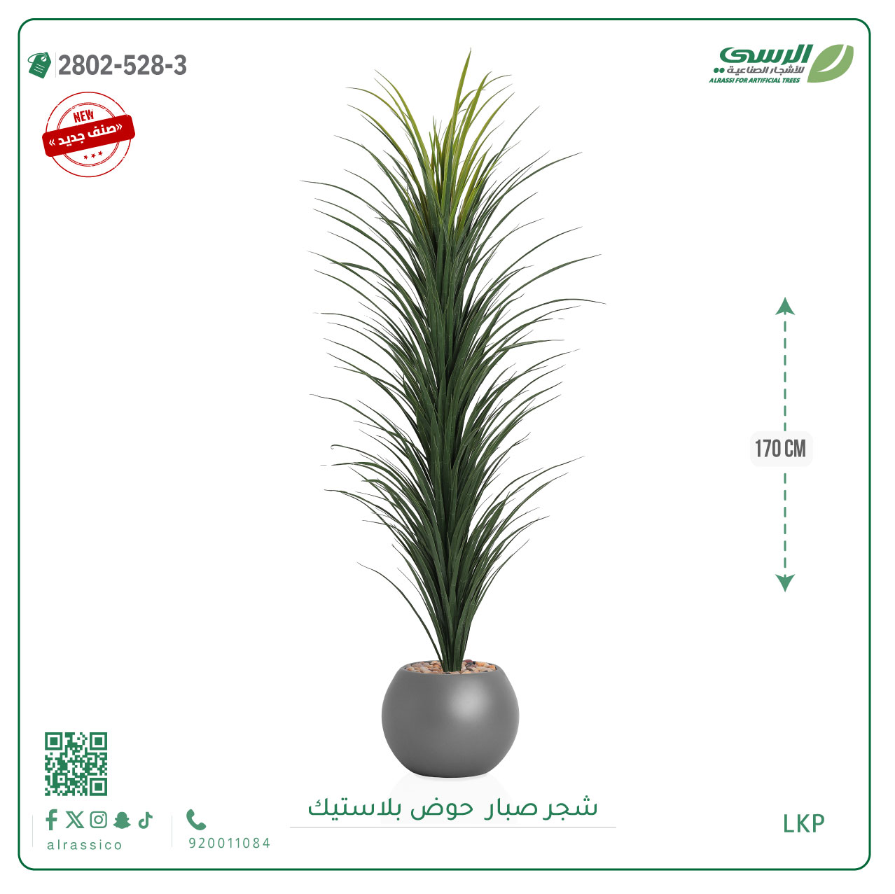   شتلة صبار بمركن بلاستيك دائري 