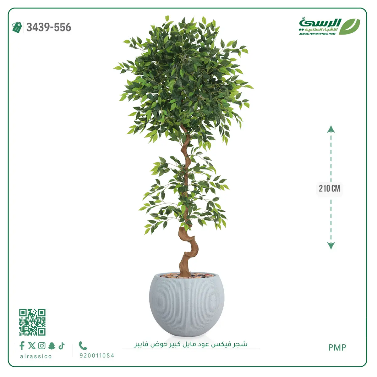  شجرة فيكس صناعية عود مائل (ارتفاع 210 سم) حوض فيبر 