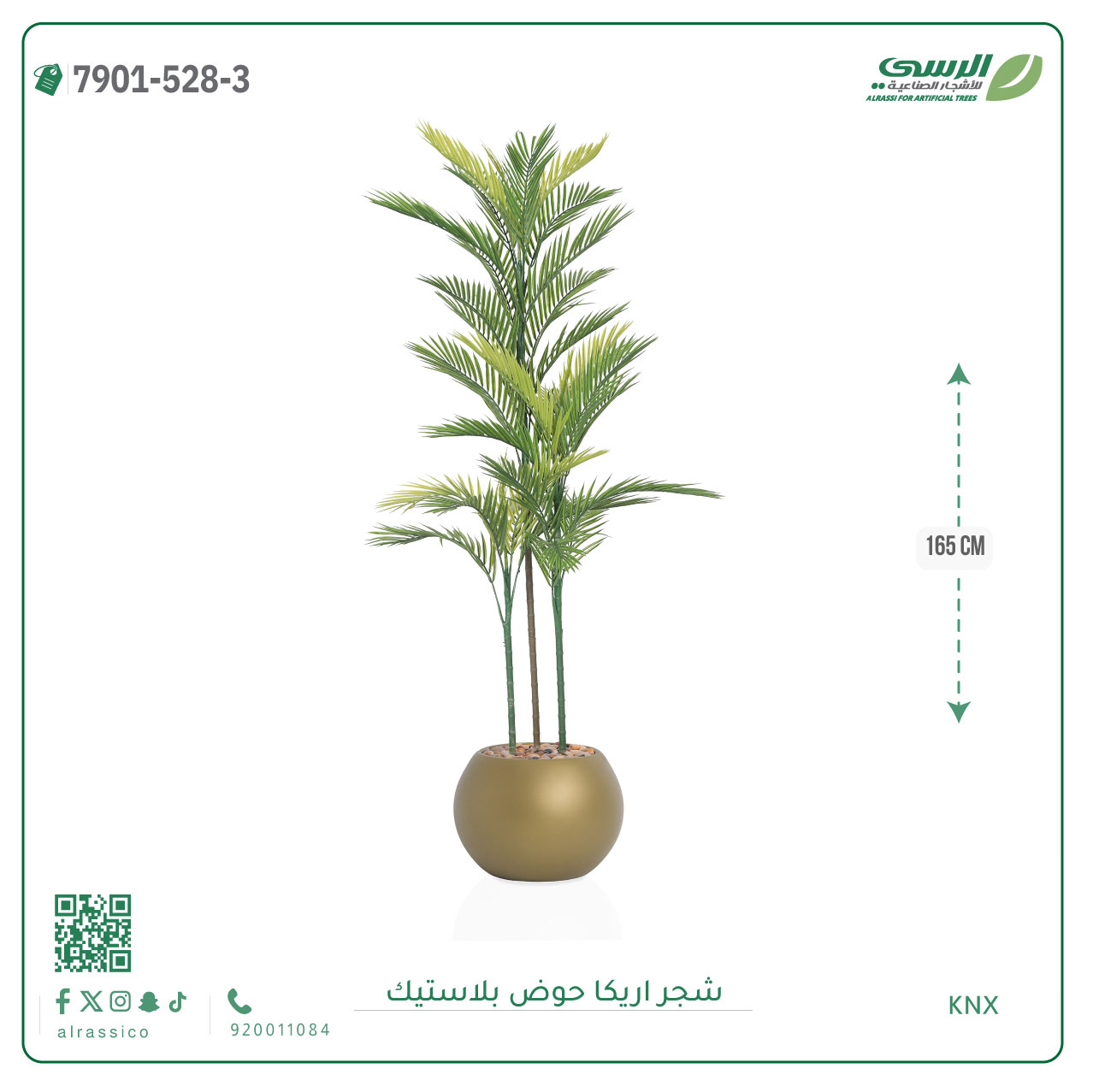  شجرة اريكا صناعية ( ارتفاع 165 سم ) حوض بلاستك 