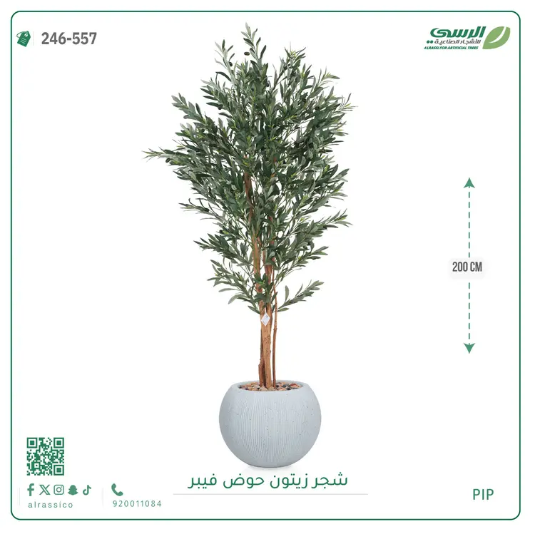  شجر زيتون صناعية ( ارتفاع 200 سم ) حوض فيبر 
