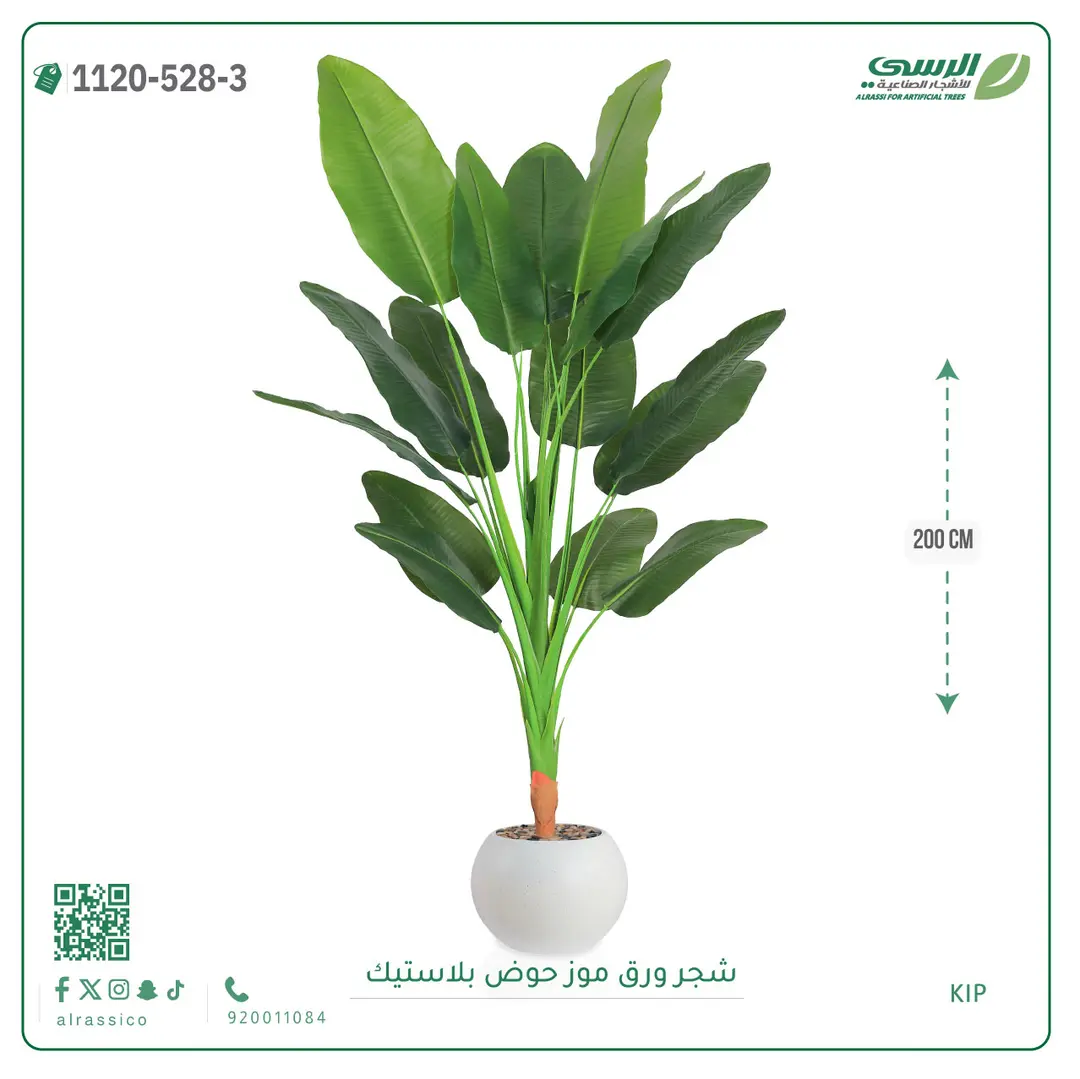  شجرة موز صناعية ( ارتفاع 200 سم ) حوض بلاستيك 