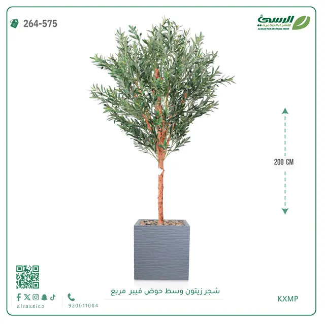  شجرة زيتون صناعية (ارتفاع 200 سم) بحوض فيبر مربع 