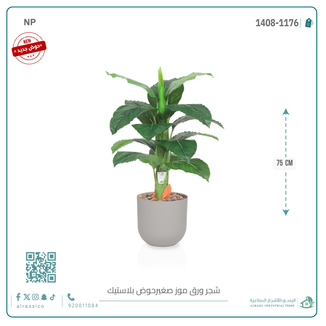   شجرة ورق موز صغير بمركن بلاستيك أسطواني 