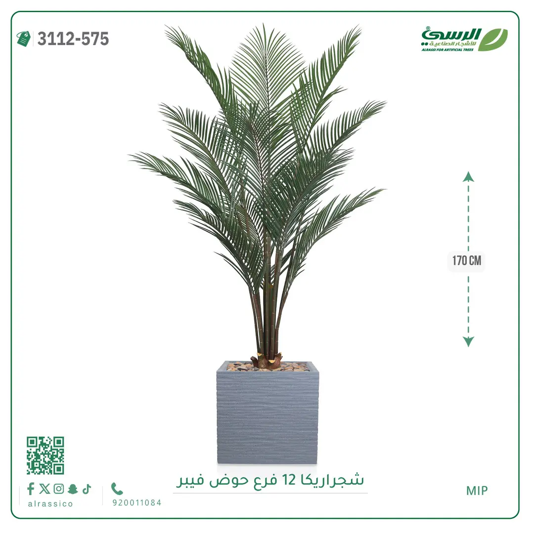  شجرة أريكا صناعية 12 فرع (ارتفاع 170 سم) حوض فيبر 