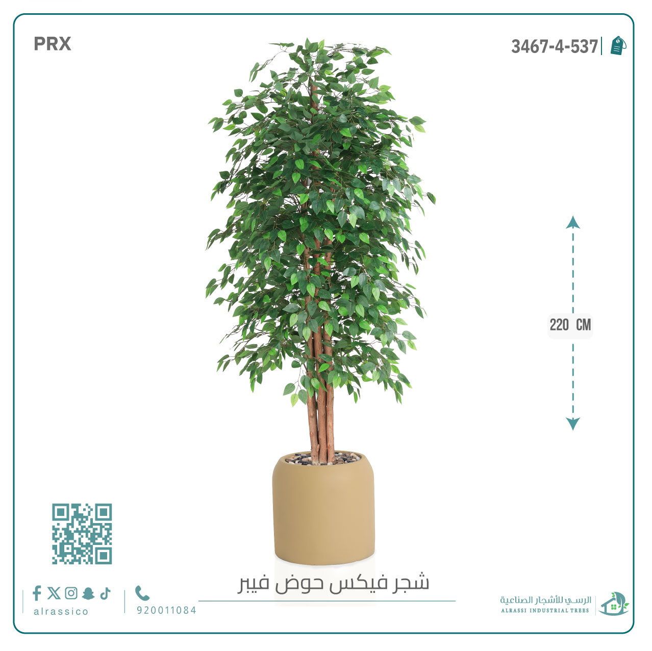  شجرة ورق فيكس اصطناعية بمركن فيبر  أسطواني 