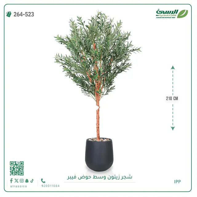  شجرة زيتون صناعية (ارتفاع 210 سم) بحوض فيبر 