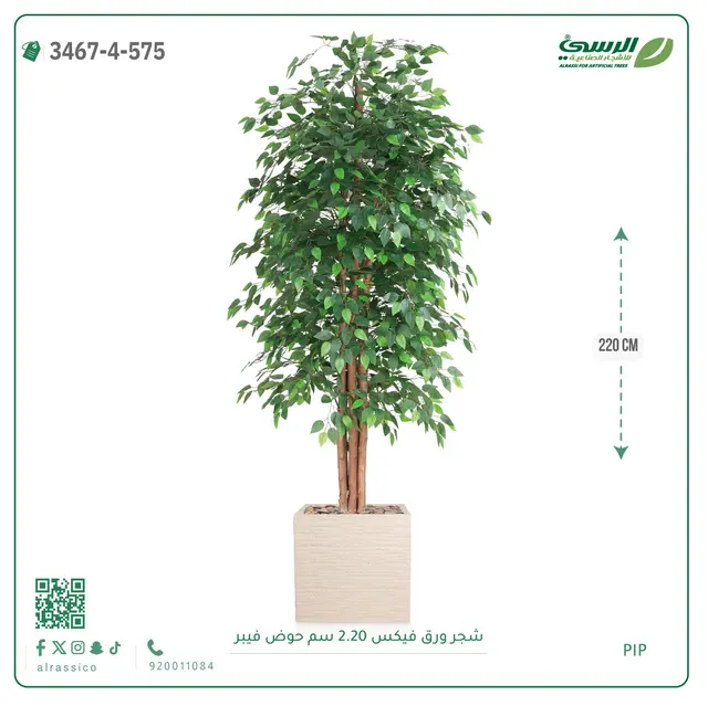 شجر فيكس صناعية (ارتفاع 220 سم) حوض فيبر 