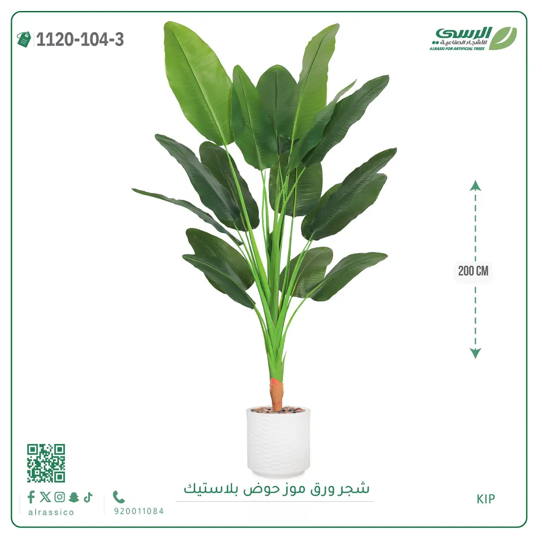  شجرة موز صناعية ( ارتفاع 200 سم ) حوض بلاستيك 