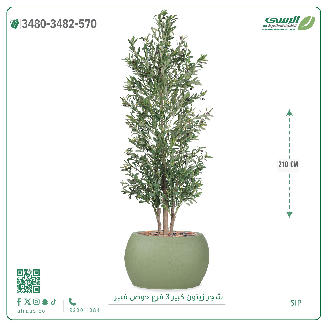  شجرة زيتون صناعية ( ارتفاع 240 سم ) حوض فيبر 