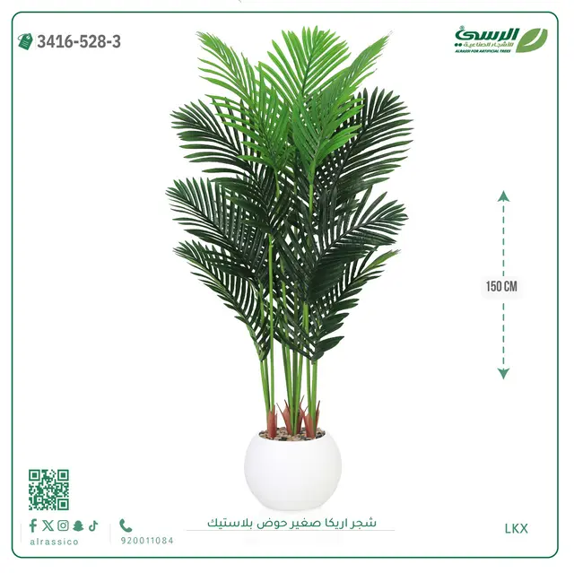  شجر أريكا صناعية ( ارتفاع 150 سم ) حوض بلاستك 