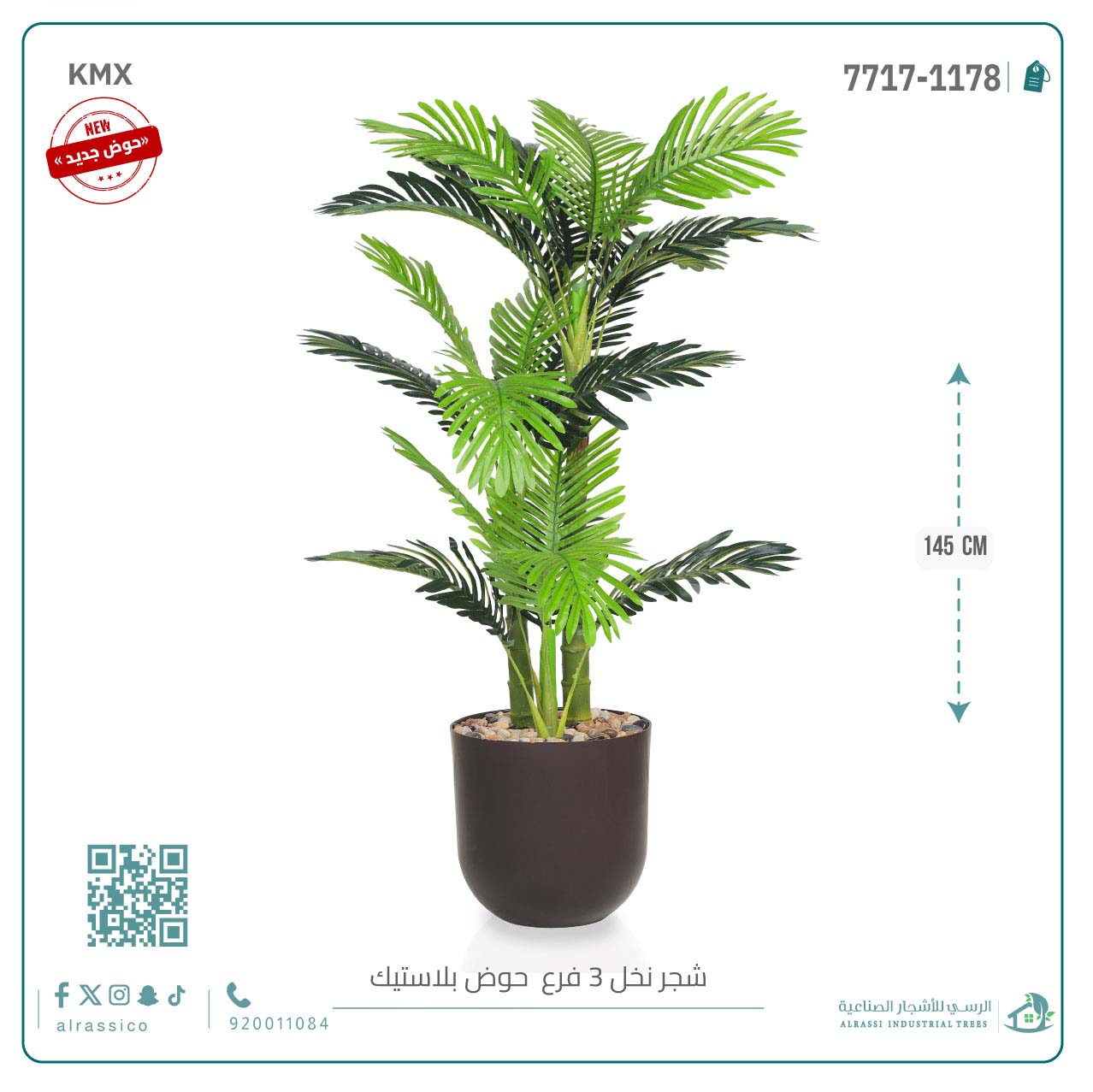  نخل أريكا صغير (3 فروع) بمركن بلاستيك أسطواني 