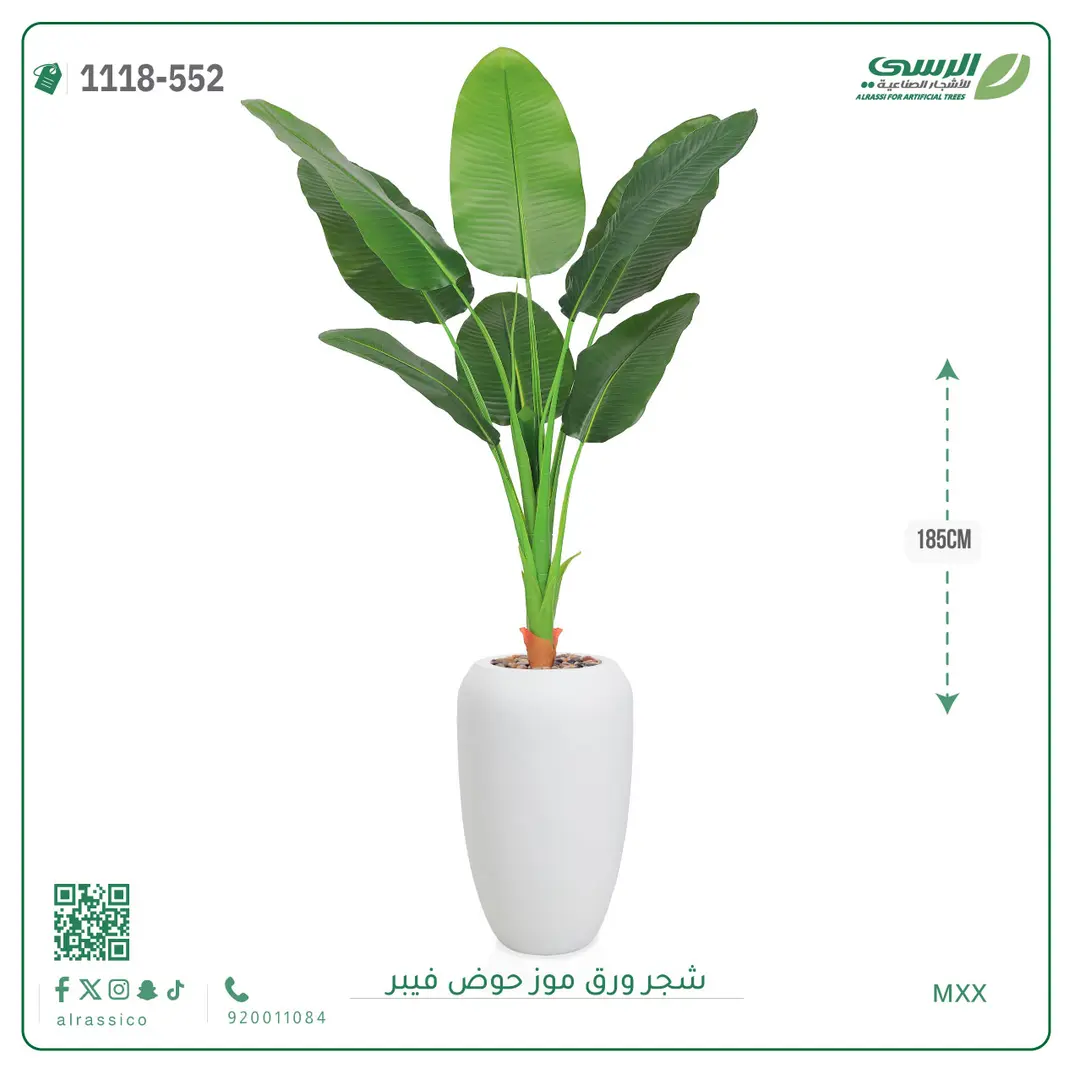  شجرة موز صناعية ( ارتفاع 185 سم ) حوض فيبر 