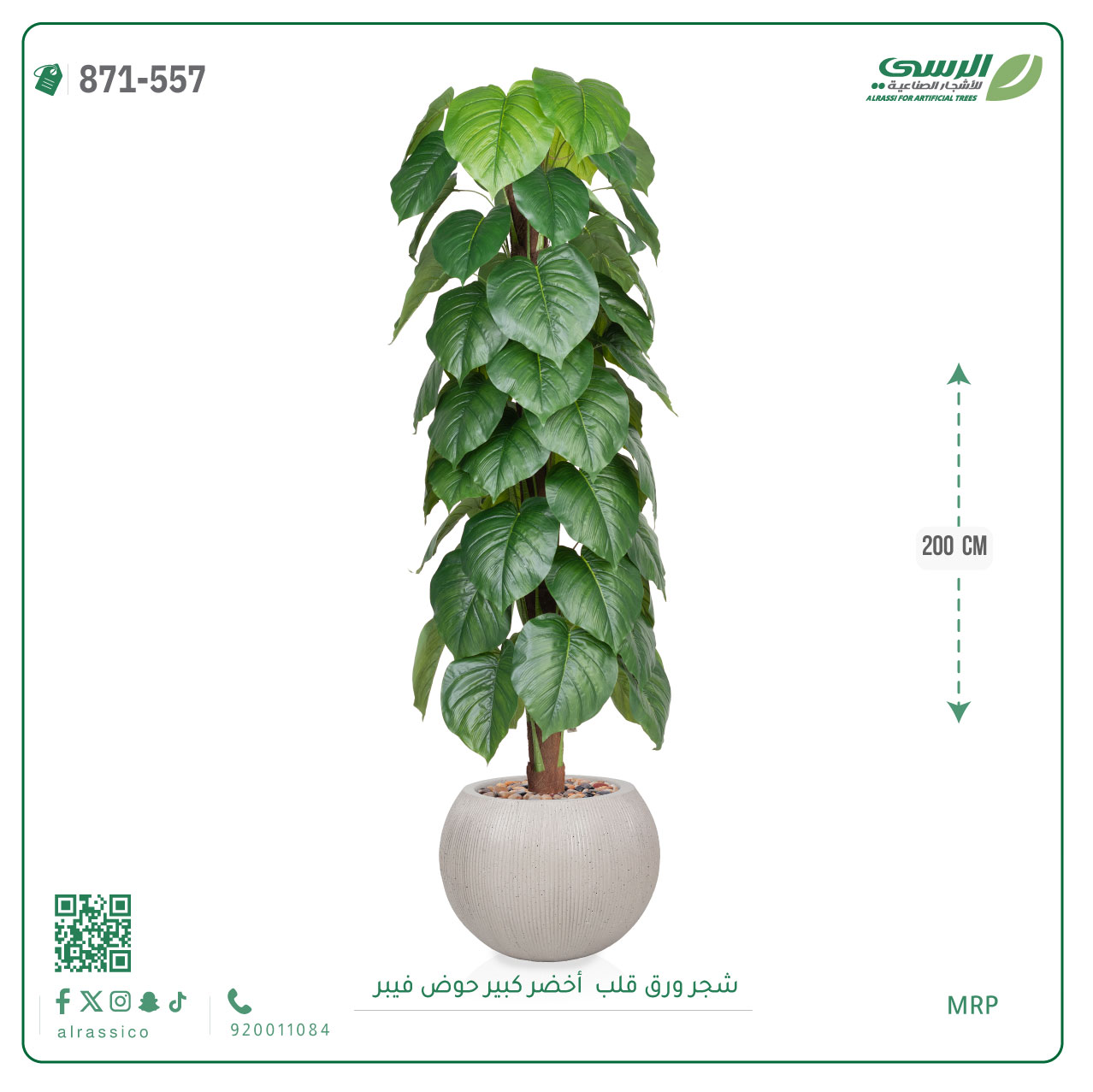  شجرة ورق قلب اصطناعية ( ارتفاع 200 سم ) حوض فايبر 