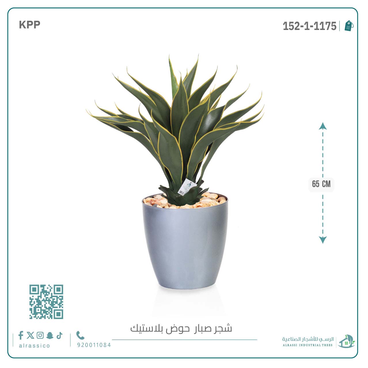  صبار ذيل الثعلب الصناعي بمركن بلاستيك اسطوانى  