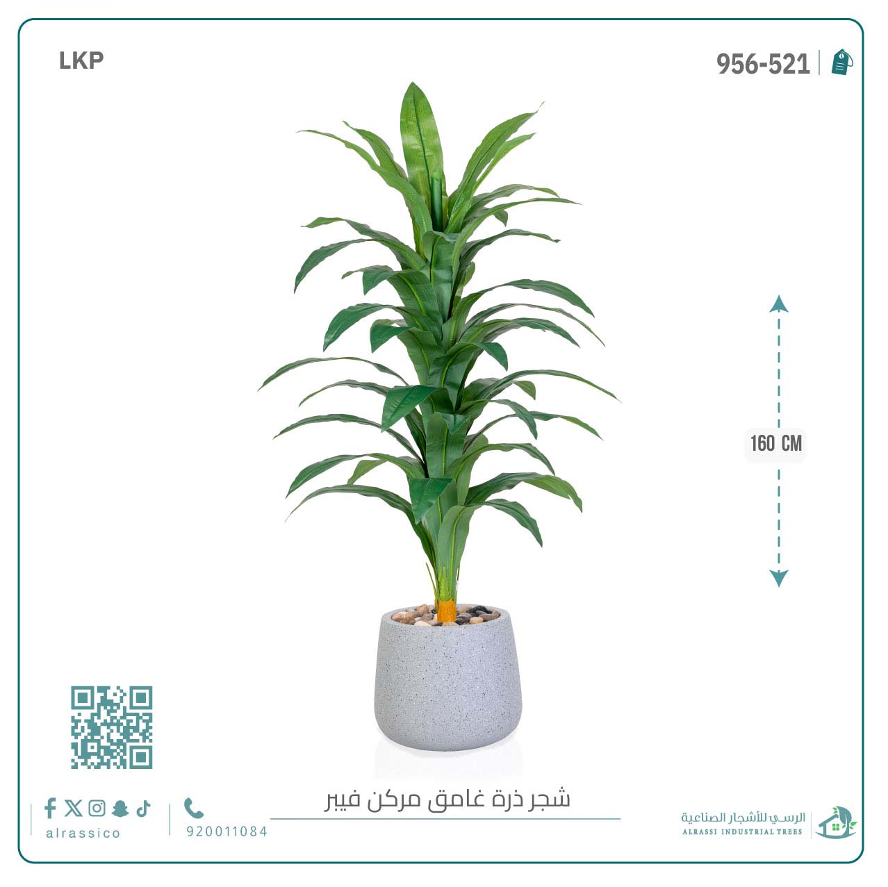  شجرة نبات الذرة (دراسينا) الاصطناعية بمركن فيبر بيضاوى 